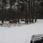 img_9295_sm